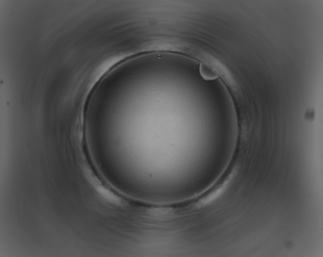 X0000096690844200802051344