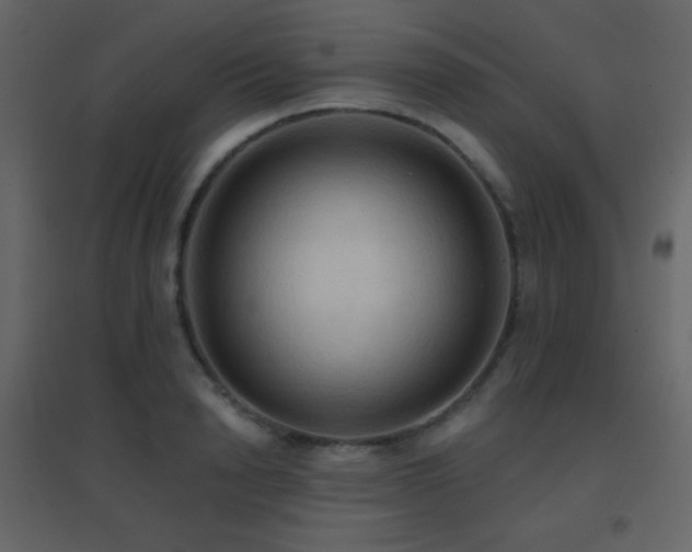 X0000096690846200802051344