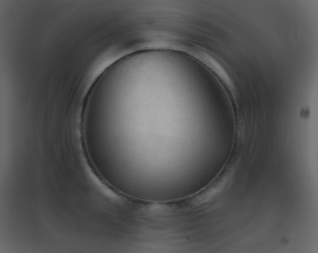 X0000096690847200802051344