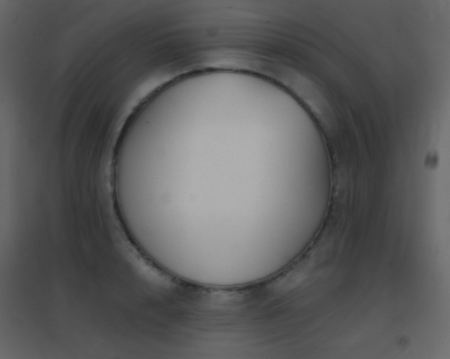 X0000096690848200802051344