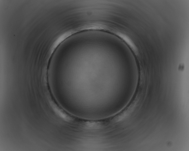 X0000096690850200802051344