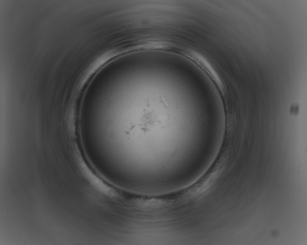 X0000096690851200802051344