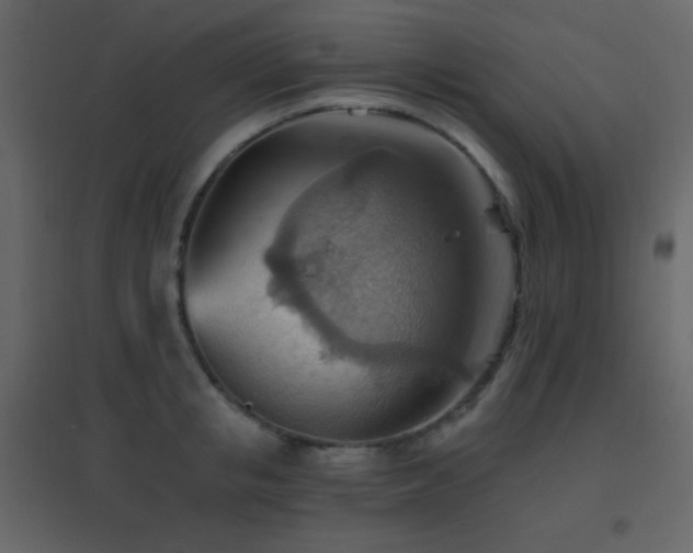 X0000096690853200802051344