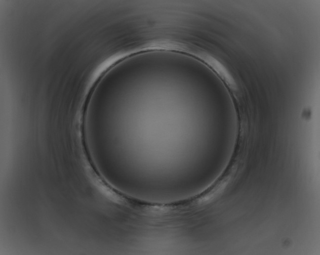 X0000096690854200802051344