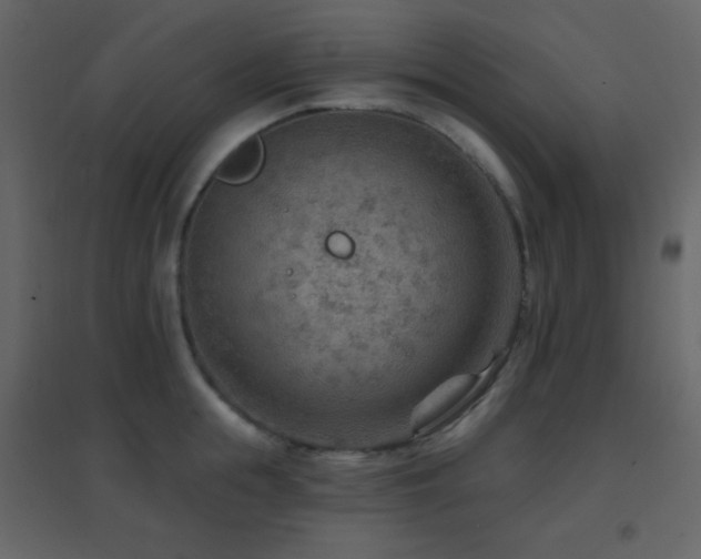 X0000096690855200802051344