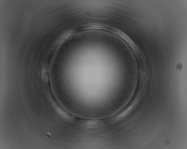 X0000096690857200802051344