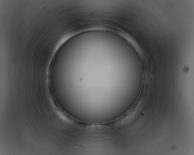 X0000096690858200802051344