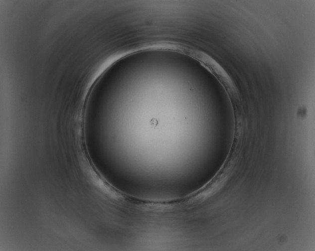 X0000096690860200802051344