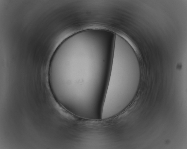 X0000096690861200802051344