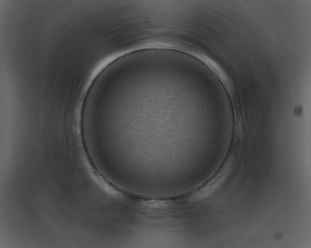 X0000096690862200802051345