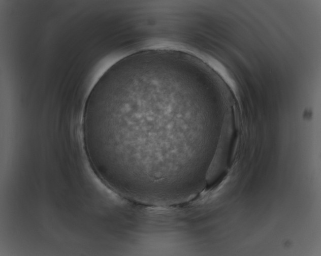 X0000096690863200802051345