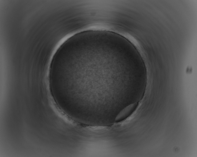 X0000096690864200802051345