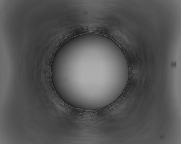 X0000096690865200802051344