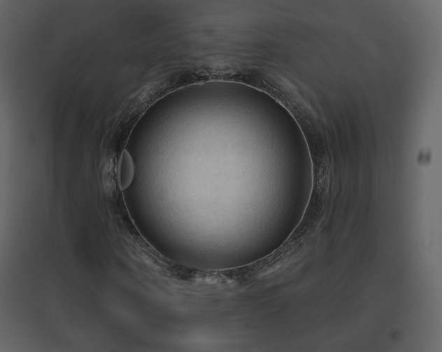 X0000096690866200802051344