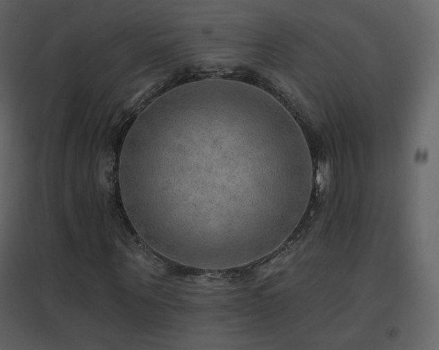 X0000096690867200802051344