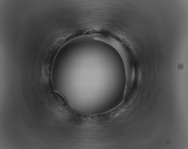 X0000096690868200802051344