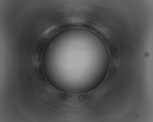 X0000096690869200802051344