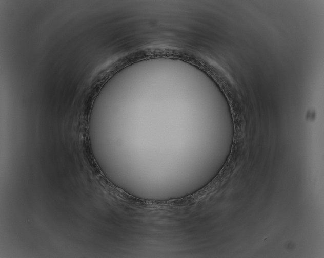 X0000096690870200802051344