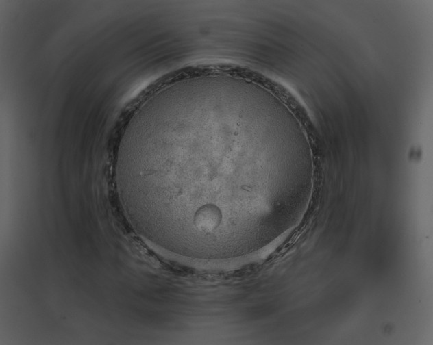 X0000096690871200802051344