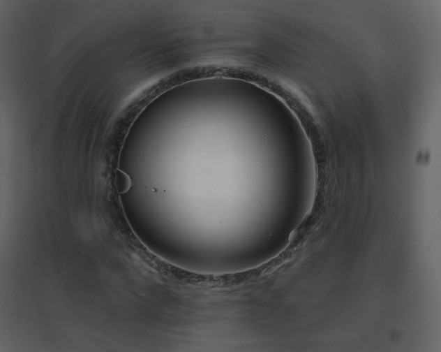 X0000096690872200802051344