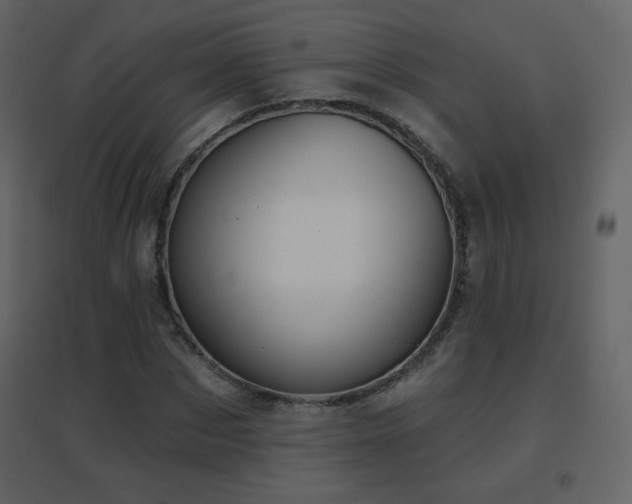 X0000096690873200802051344