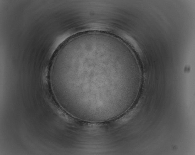 X0000096690875200802051344