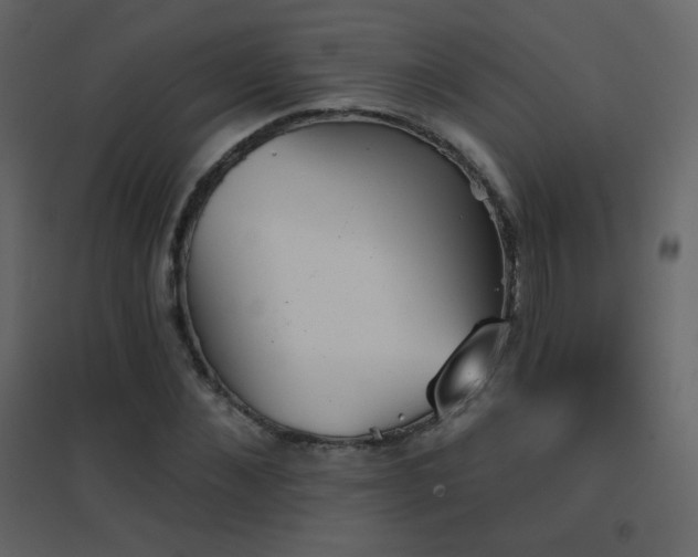 X0000096690876200802051344