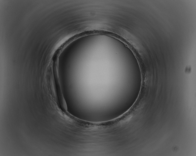 X0000096690877200802051344