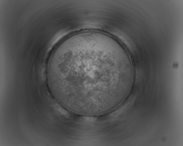 X0000096690878200802051344