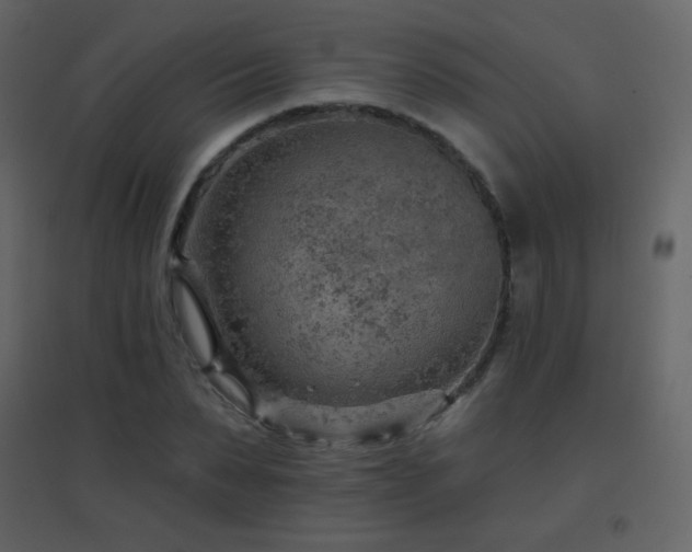 X0000096690879200802051344