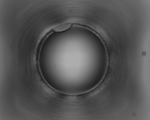 X0000096690880200802051343