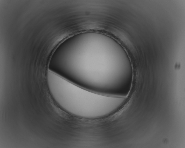 X0000096690881200802051343