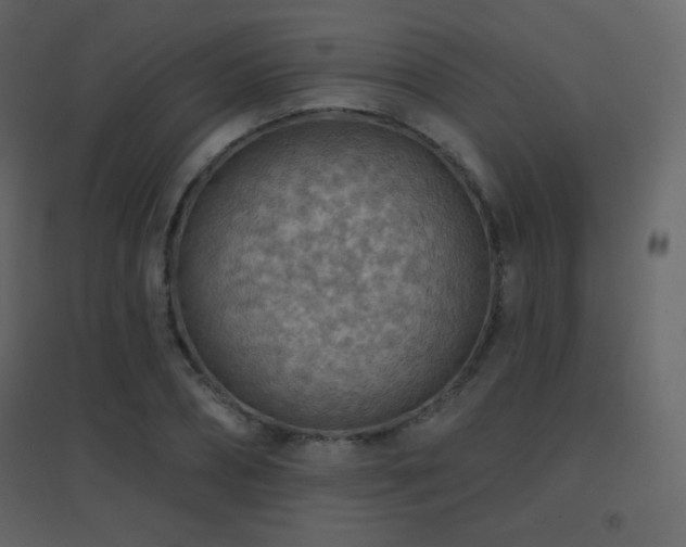 X0000096690882200802051343