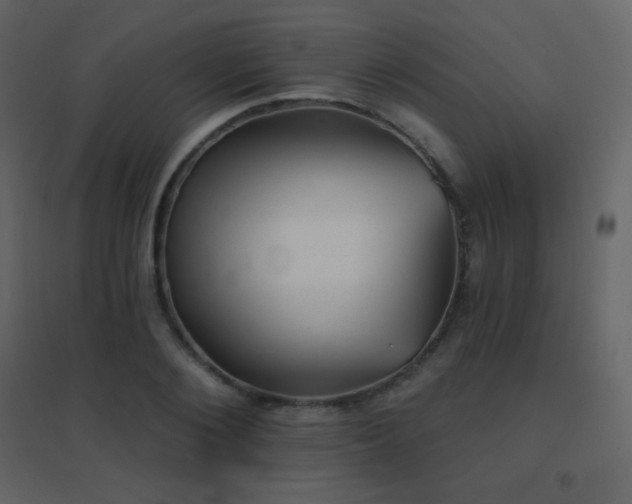 X0000096690884200802051343