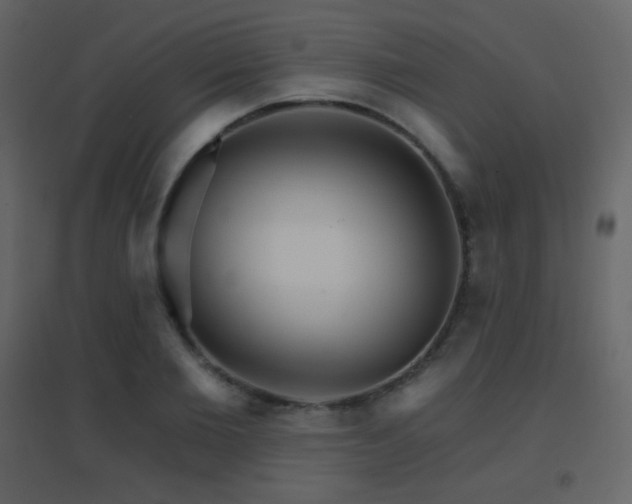 X0000096690885200802051343