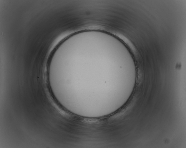 X0000096690886200802051343