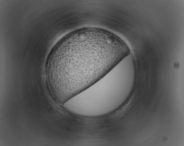 X0000096690887200802051343