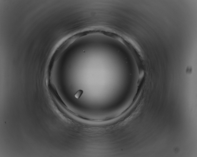 X0000096690888200802051343