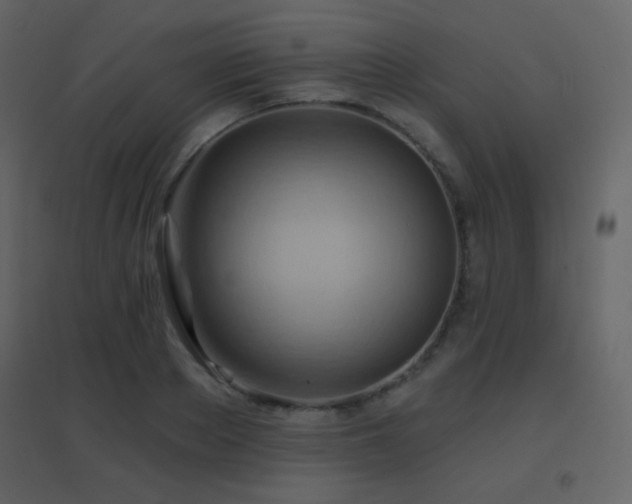 X0000096690889200802051343