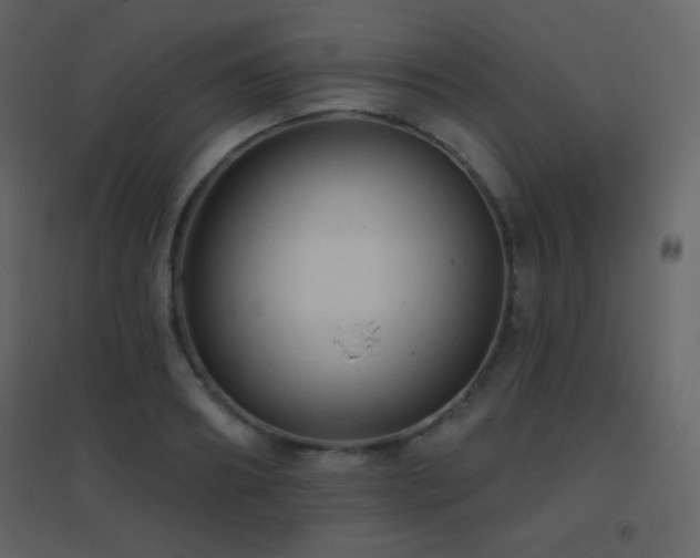 X0000096690890200802051343