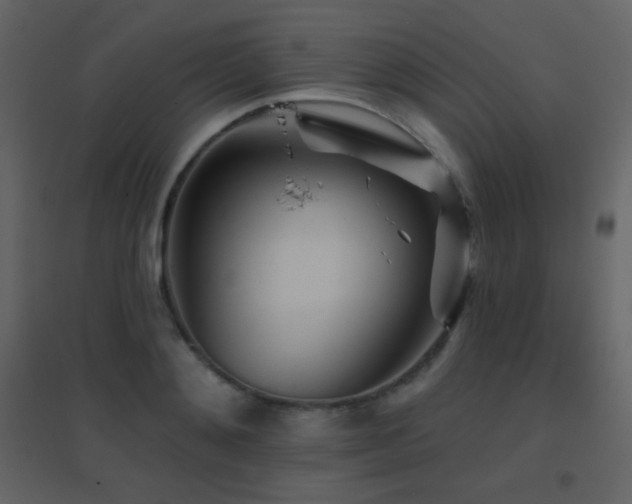 X0000096690892200802051343