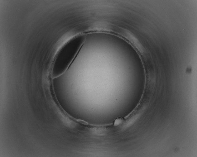 X0000096690893200802051343