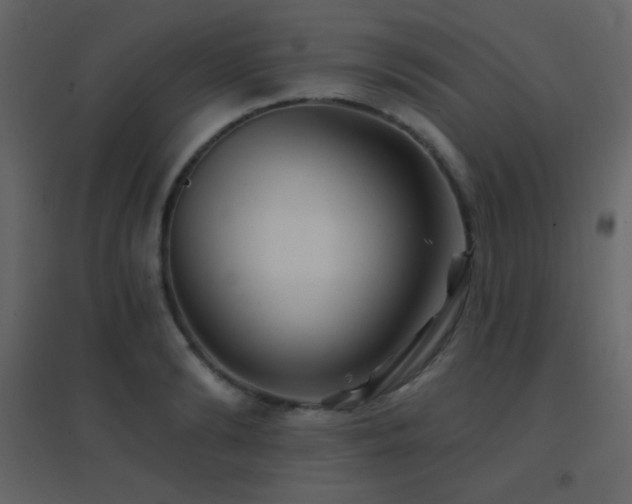 X0000096690894200802051343