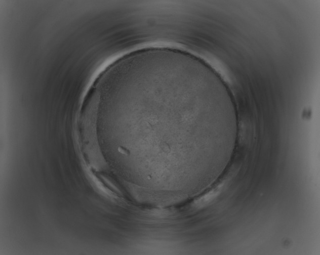 X0000096690895200802051343