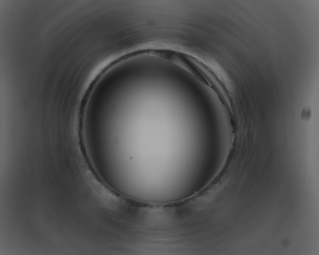 X0000096690896200802051343