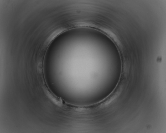 X0000096690897200802051343