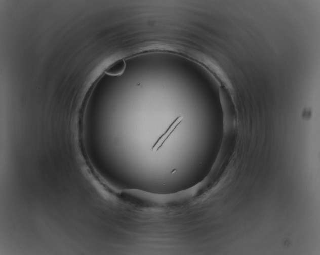 X0000096690898200802051343