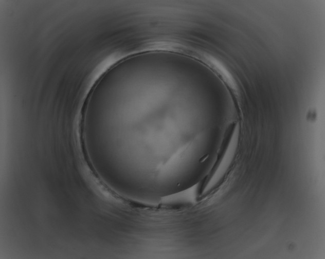 X0000096690899200802051343