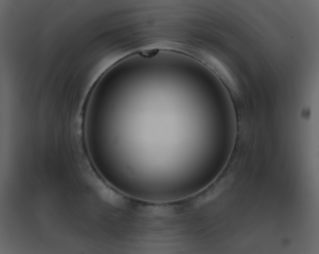 X0000096690900200802051343