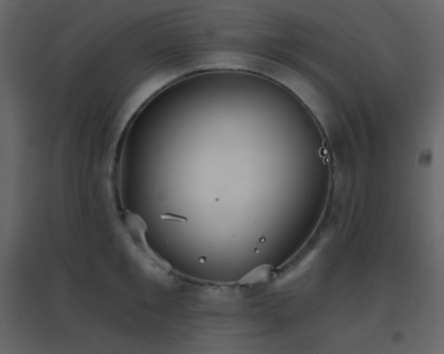 X0000096690901200802051343